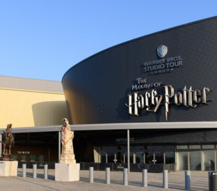 Harry Potter 312 x 274
